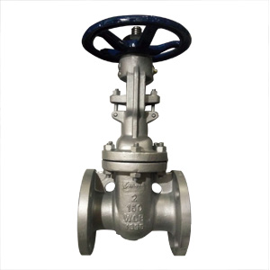 astm a216 wcb wedge gate valve 2 inch 150 lb